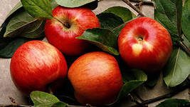яблочки - ягоды, фрукты, яблоки, для кухни - оригинал