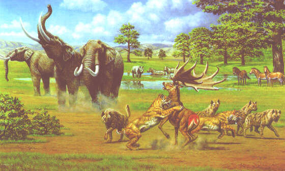 саванна - конь, лев, пррода, животные, олень, лошадь, слон, носорог, гиена, мустанг - оригинал