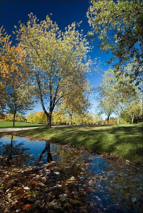 Прозрачная осень - природа, пейзаж, река, осень - оригинал