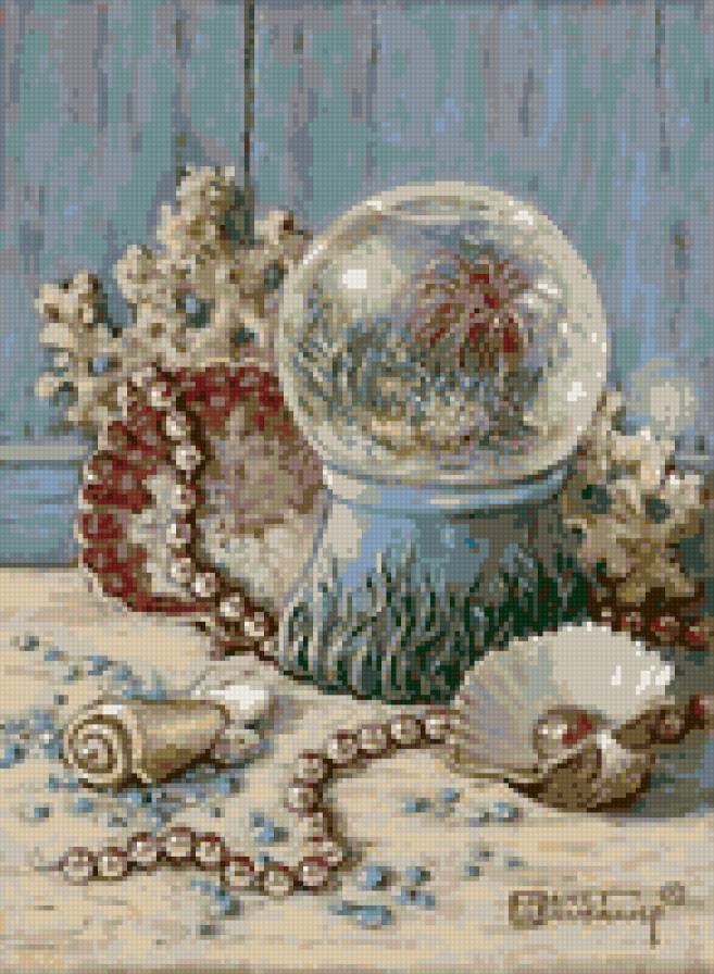 Ракушки - предпросмотр