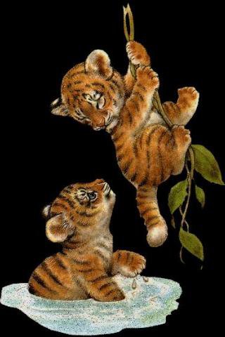 Тигрята - живопись, животные, тигрята - оригинал