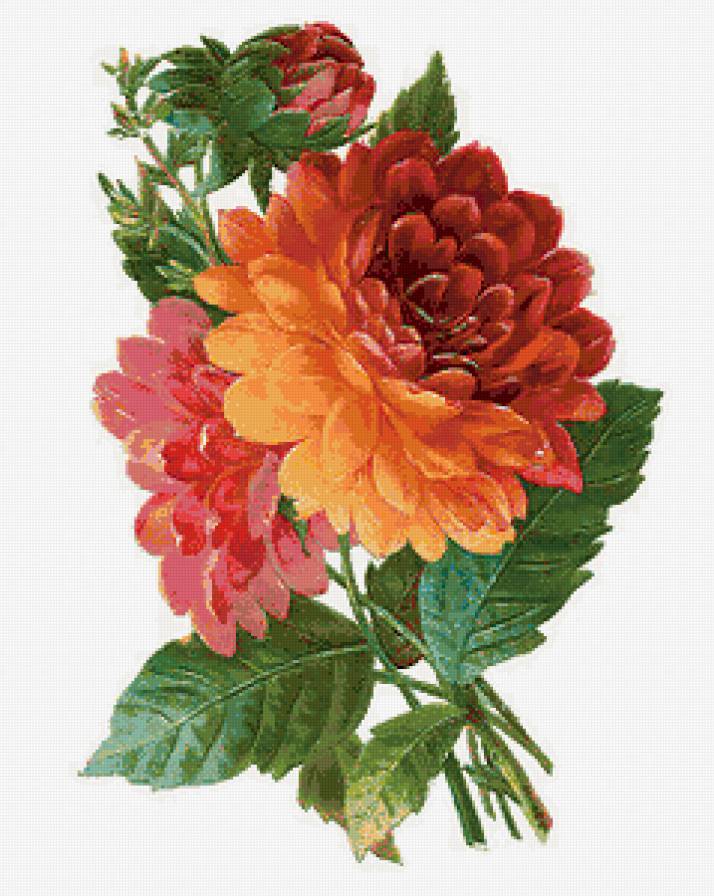 №127882 - предпросмотр