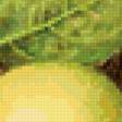 Предпросмотр схемы вышивки «№127908»