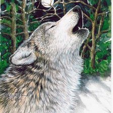 Схема вышивки «Волк»