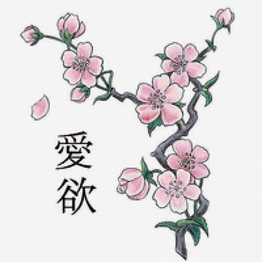 Сакура - иероглифы, цветы, восток, дерево, япония, сакура - предпросмотр