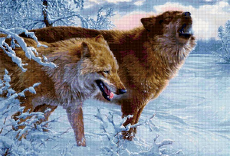 Волки - зима - предпросмотр