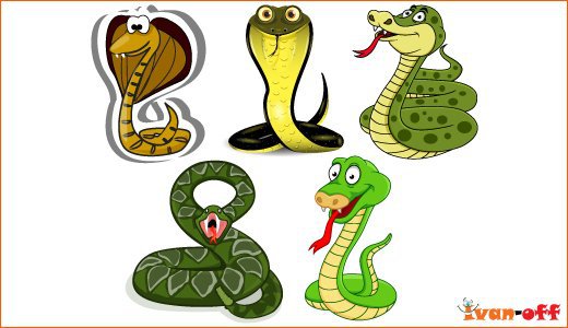 Змейки - змеи, символ 2013 года, змея - оригинал