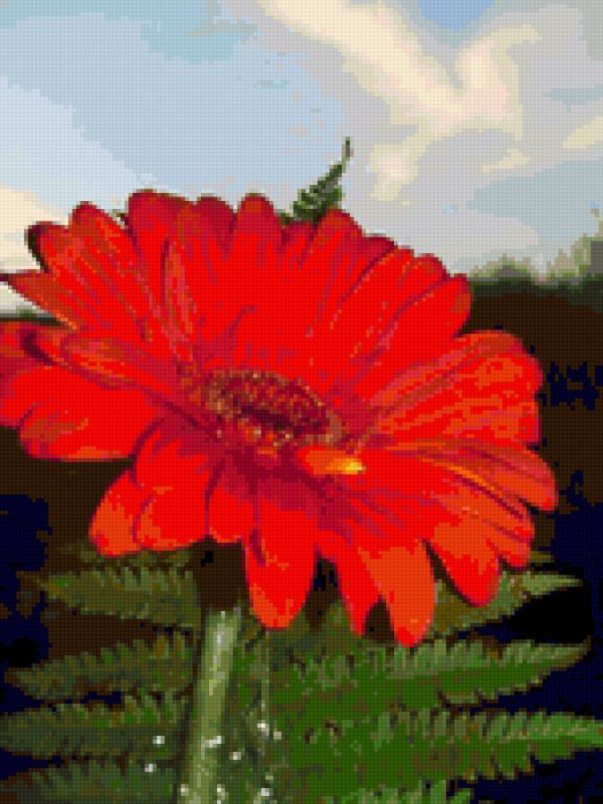 цветы - цветы - предпросмотр