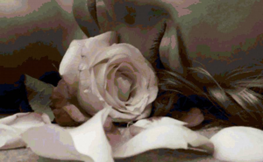 На заре ты ее не буди... - романтика, девушка - предпросмотр