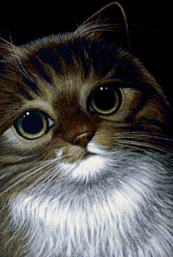 милый котик - кот - предпросмотр