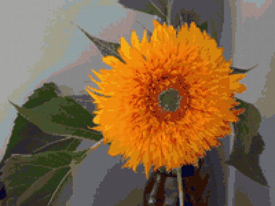 Подсолнух - предпросмотр