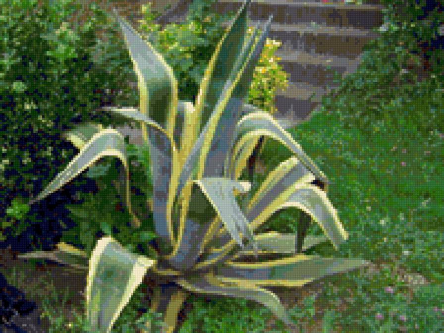 natura - предпросмотр