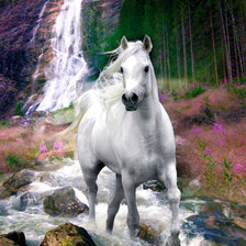 Конь у водопада
