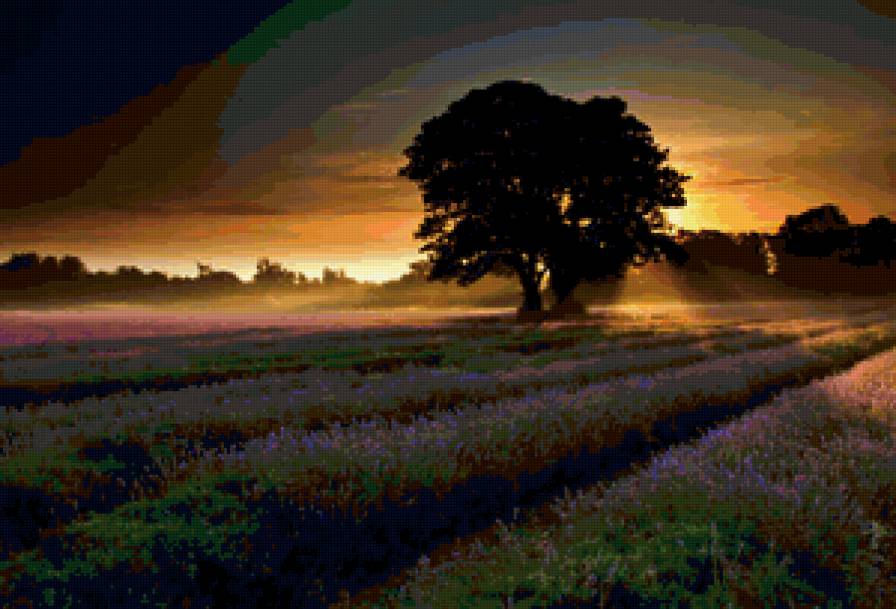 Лавандовое поле рассвет - предпросмотр