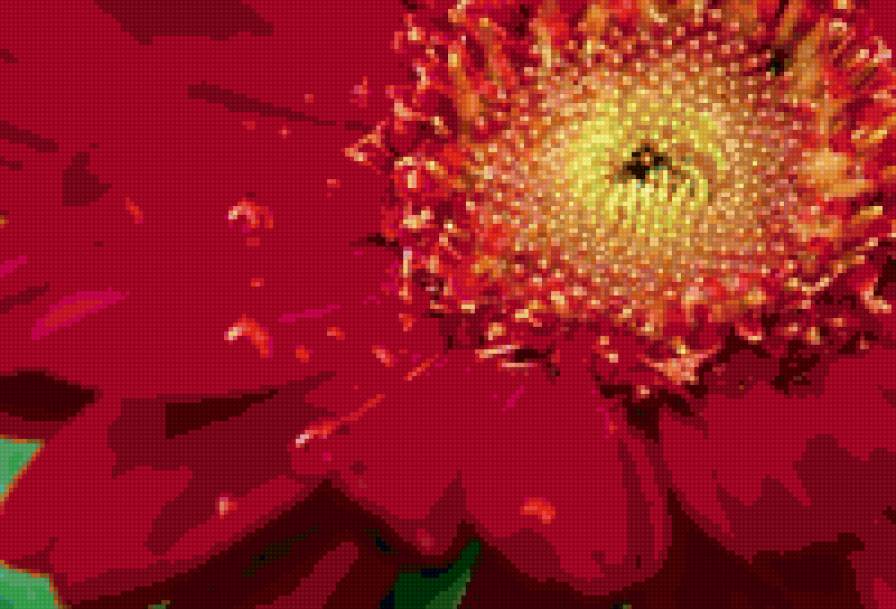 Красный цветок - предпросмотр