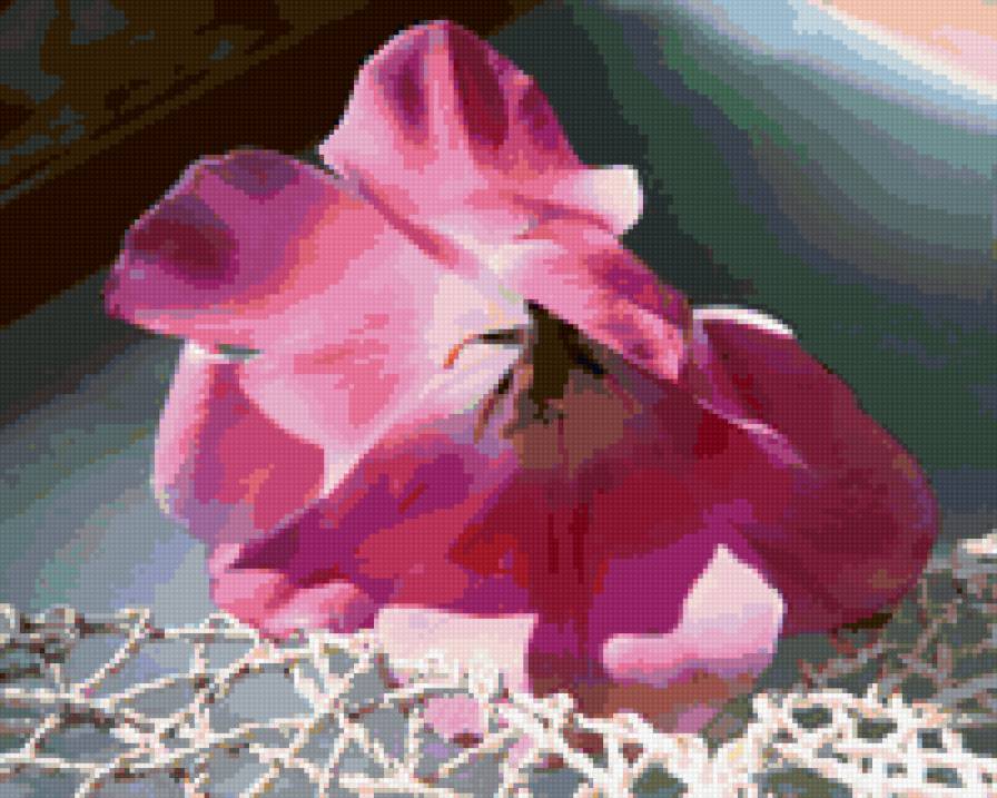 flower - предпросмотр