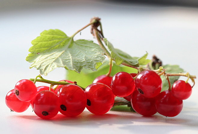 Красная смородина - ягоды - оригинал