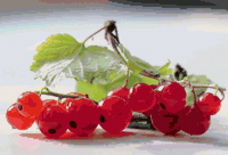 Красная смородина - ягоды - предпросмотр