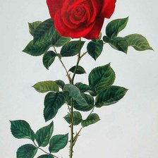 Схема вышивки «№129355»