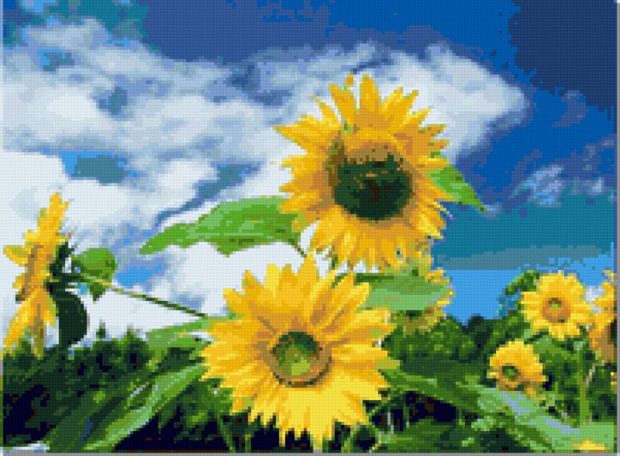 подсолнухи - подсолнухи - предпросмотр