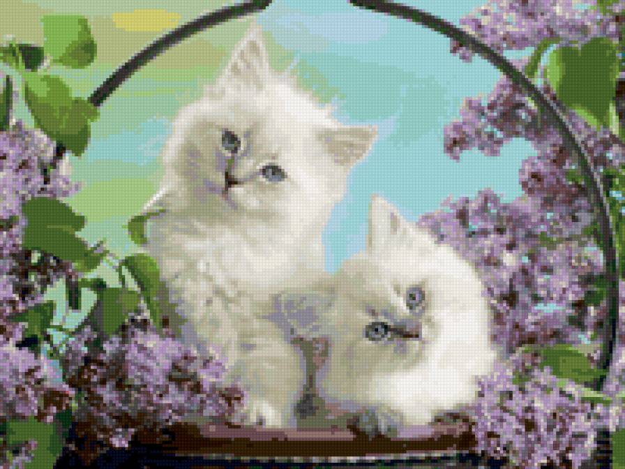 Котята в корзинке - кошки - предпросмотр