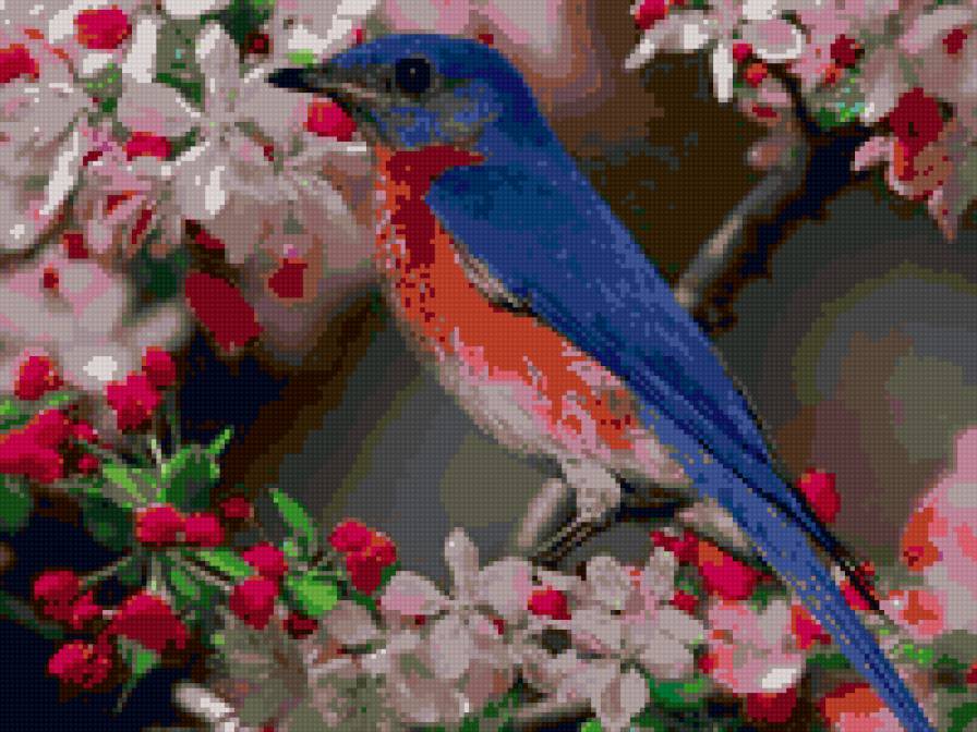 Птаха - птицы - предпросмотр