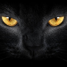 Оригинал схемы вышивки «Глаза черной кошки» (№129527)