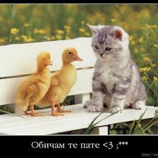 Схема вышивки «пате»