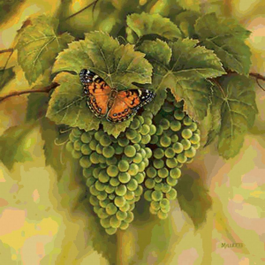 №129679 - предпросмотр