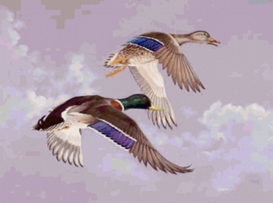 №129745 - предпросмотр