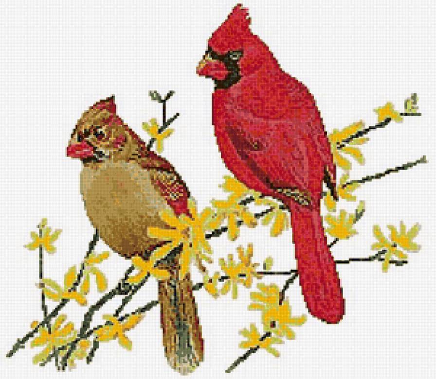 №129786 - пейзаж, птицы, животные - предпросмотр