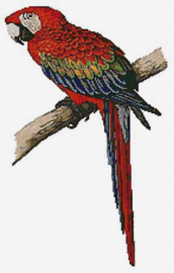 №129793 - животные, пейзаж, птицы - предпросмотр