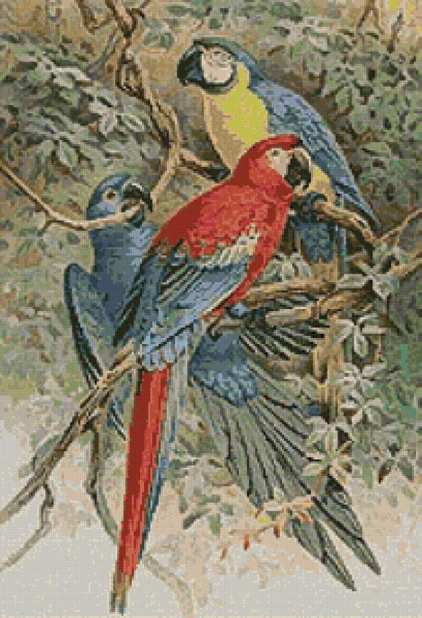 №129805 - пейзаж, животные, птицы - предпросмотр