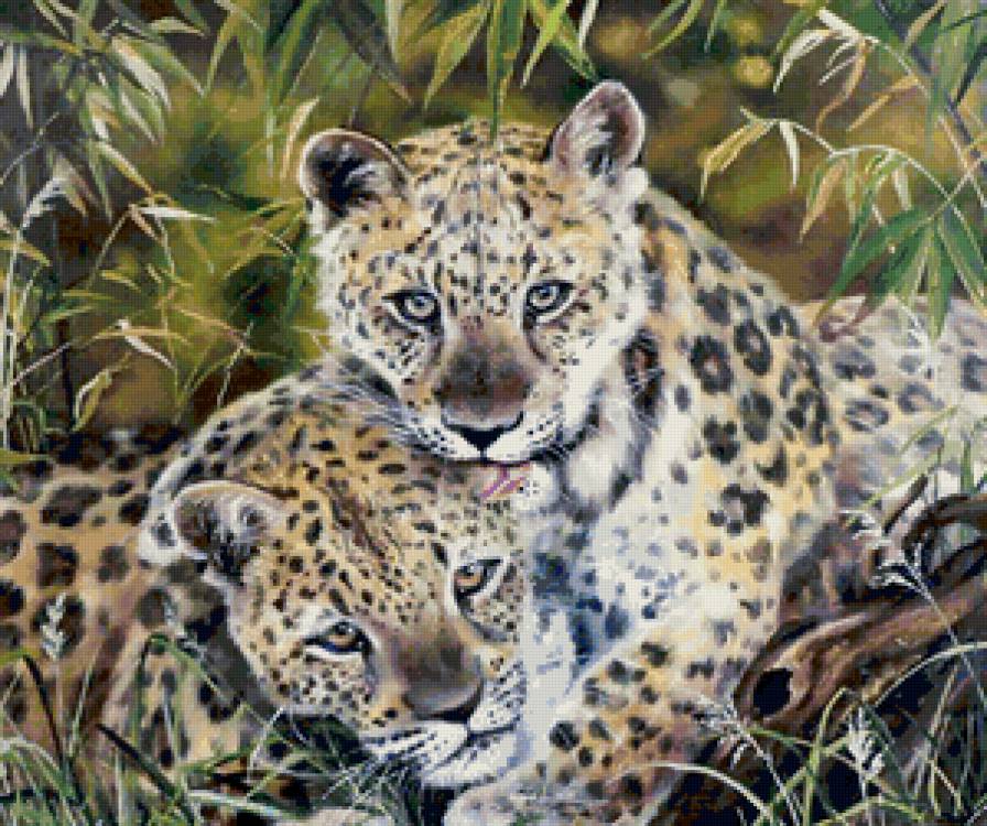 кошачья нежность - предпросмотр