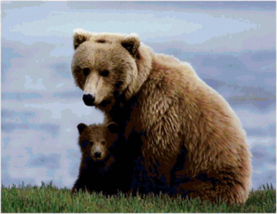 Медведица с медвежонком - медведи, животные - предпросмотр