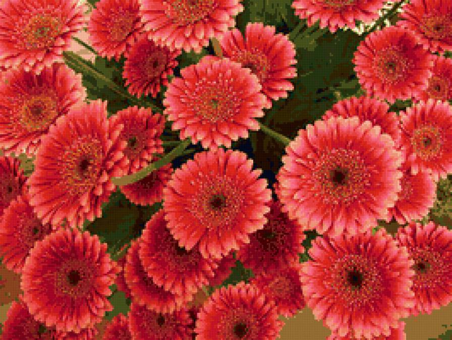 Герберы - подушка, цветы - предпросмотр