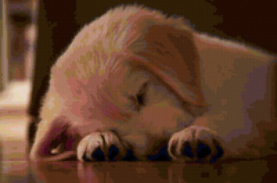 Щенок - предпросмотр