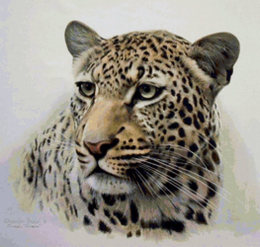 леопард - большая кошка, кошки, кошка - предпросмотр