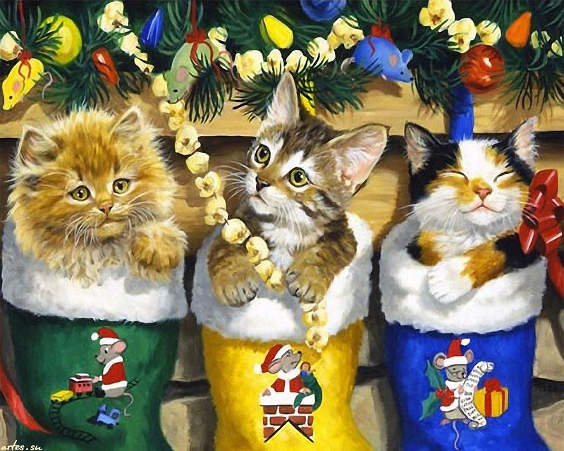 Рождественские котята - рождество, новый год, кошки, котята - оригинал