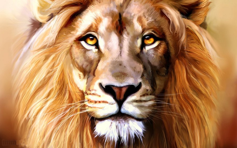 Лев - хищник, большие кошки, лев, животные - оригинал