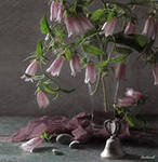 Схема вышивки «колокольчики»