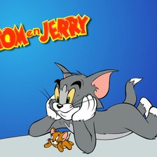 Схема вышивки «tom and jerry»