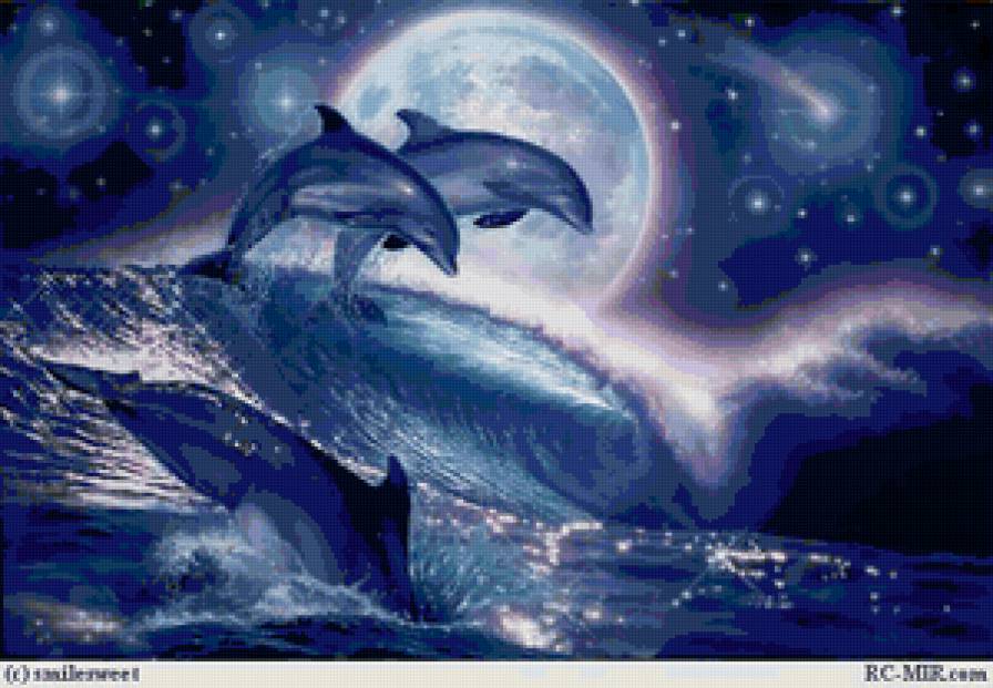 дельфинчики - предпросмотр