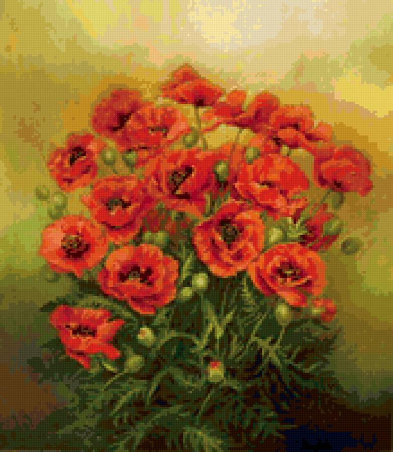 маки - цветы, букеты, маки - предпросмотр