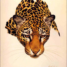 Оригинал схемы вышивки «Леопард» (№130764)