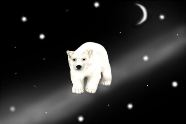 Медведь звезда - медведь, звезда, космос - оригинал