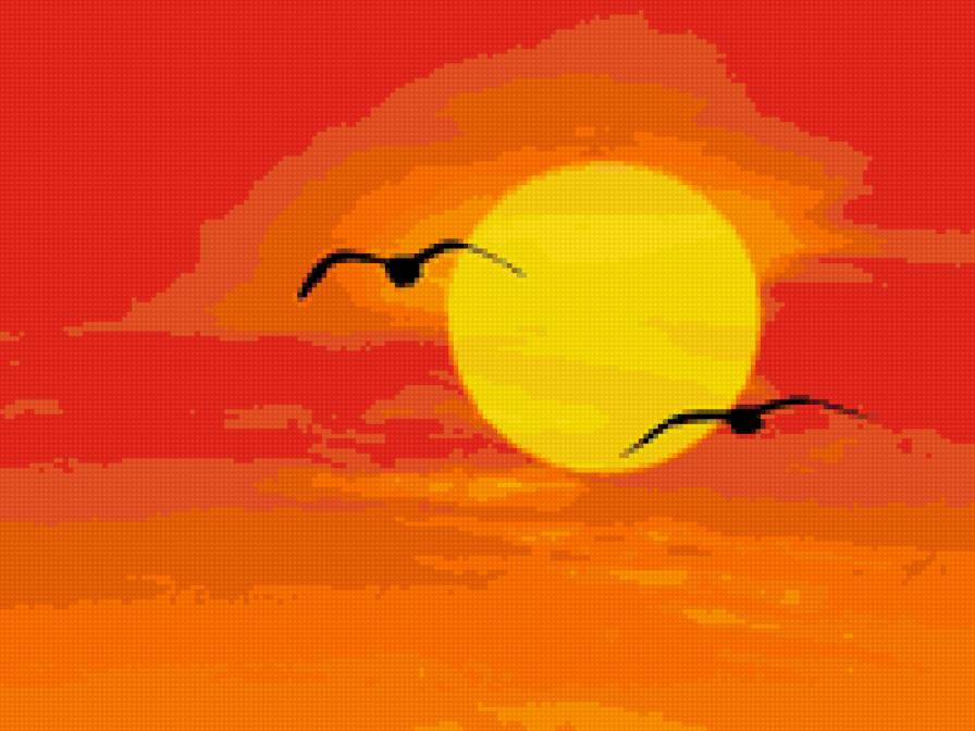 Закат - птицы, солнце, небо - предпросмотр