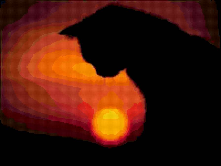 Закат - кот, природа, животные - предпросмотр