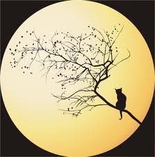 Ночь - животные, природа, кот - оригинал