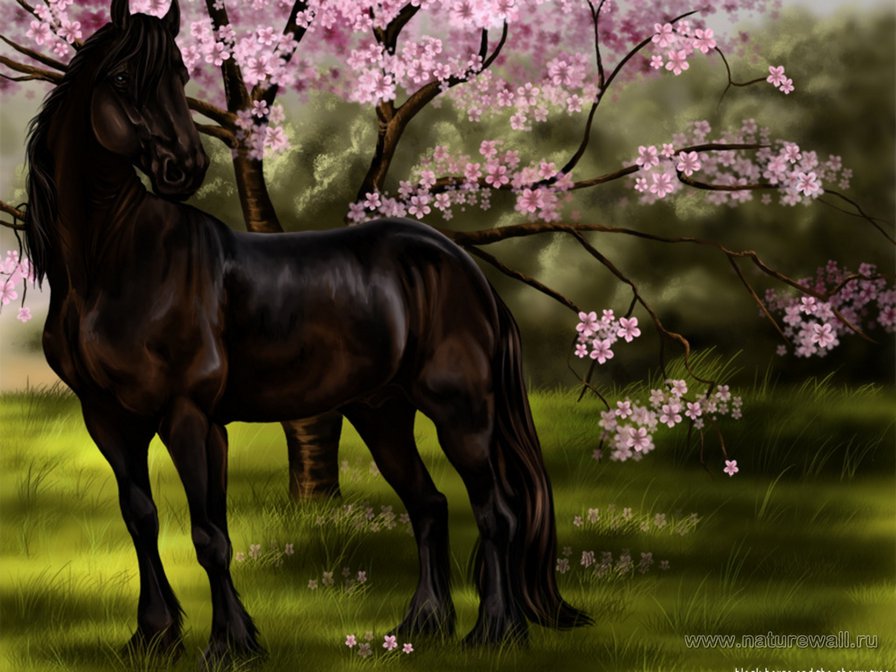 Конь) - оригинал